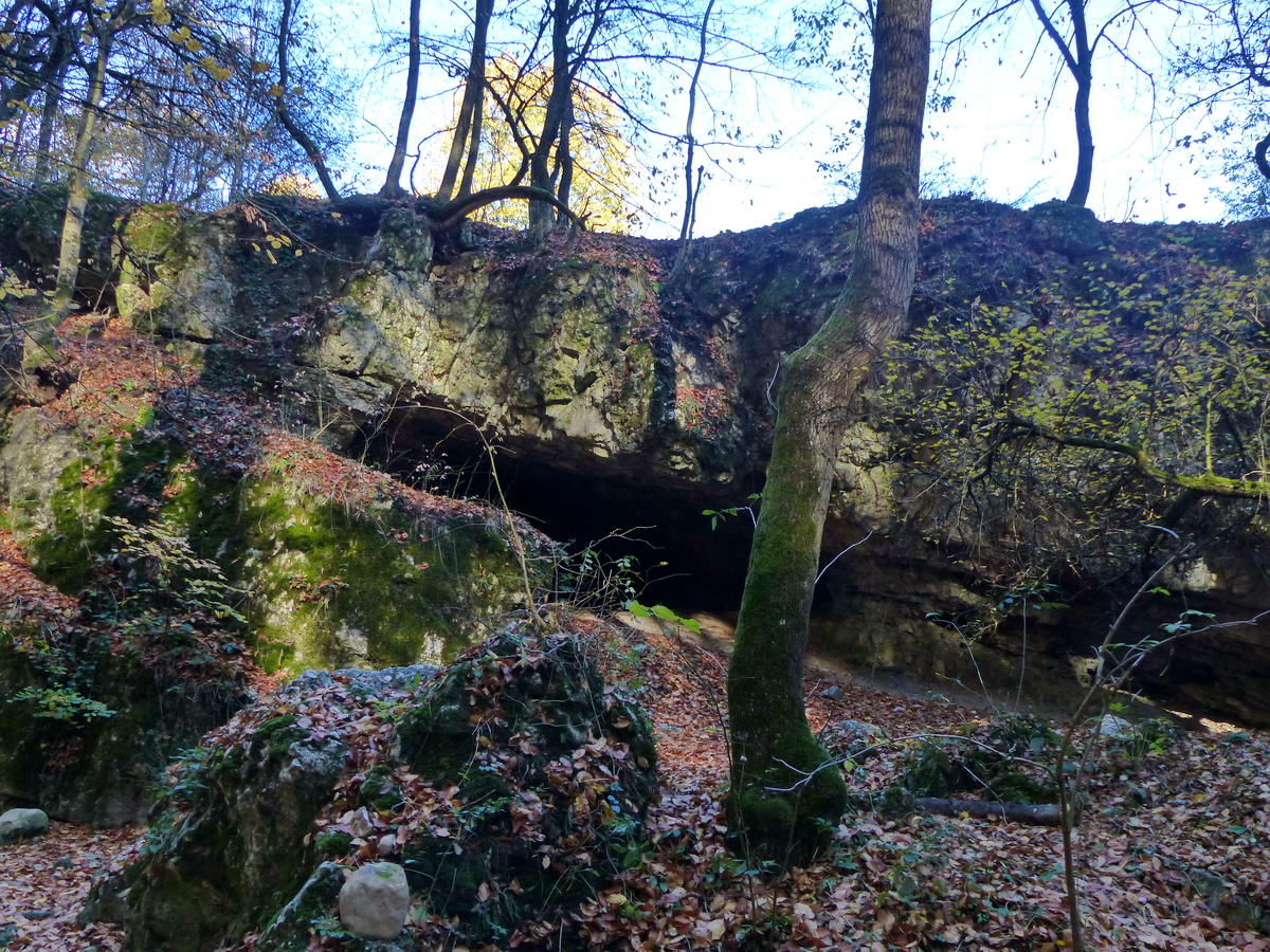 A barlang sziklahasadéka közelebbről