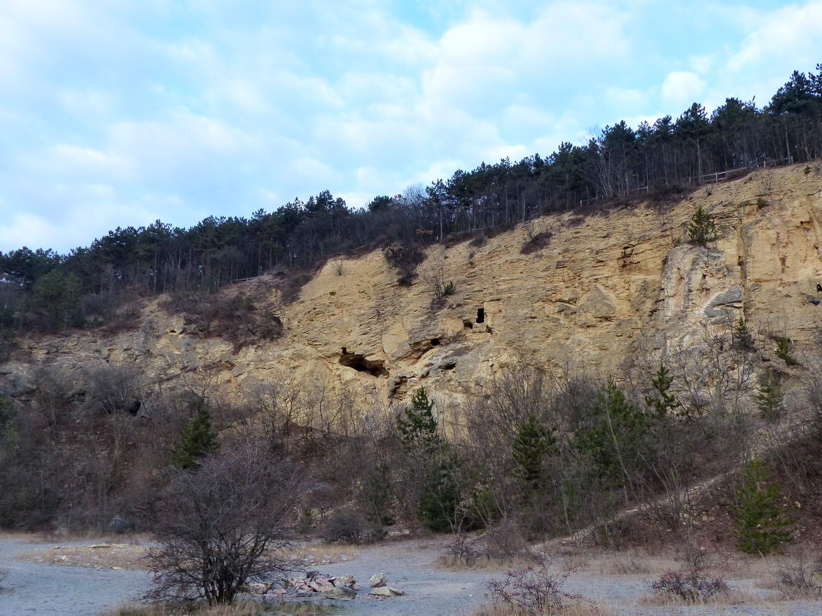 A Mátyás-hegy déli kőfejtőjének falán tizennyolc barlang nyílása található!