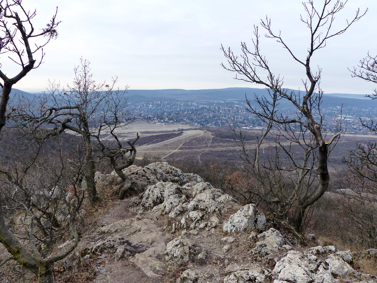 A Hármashatár-hegy északi kilátópontja