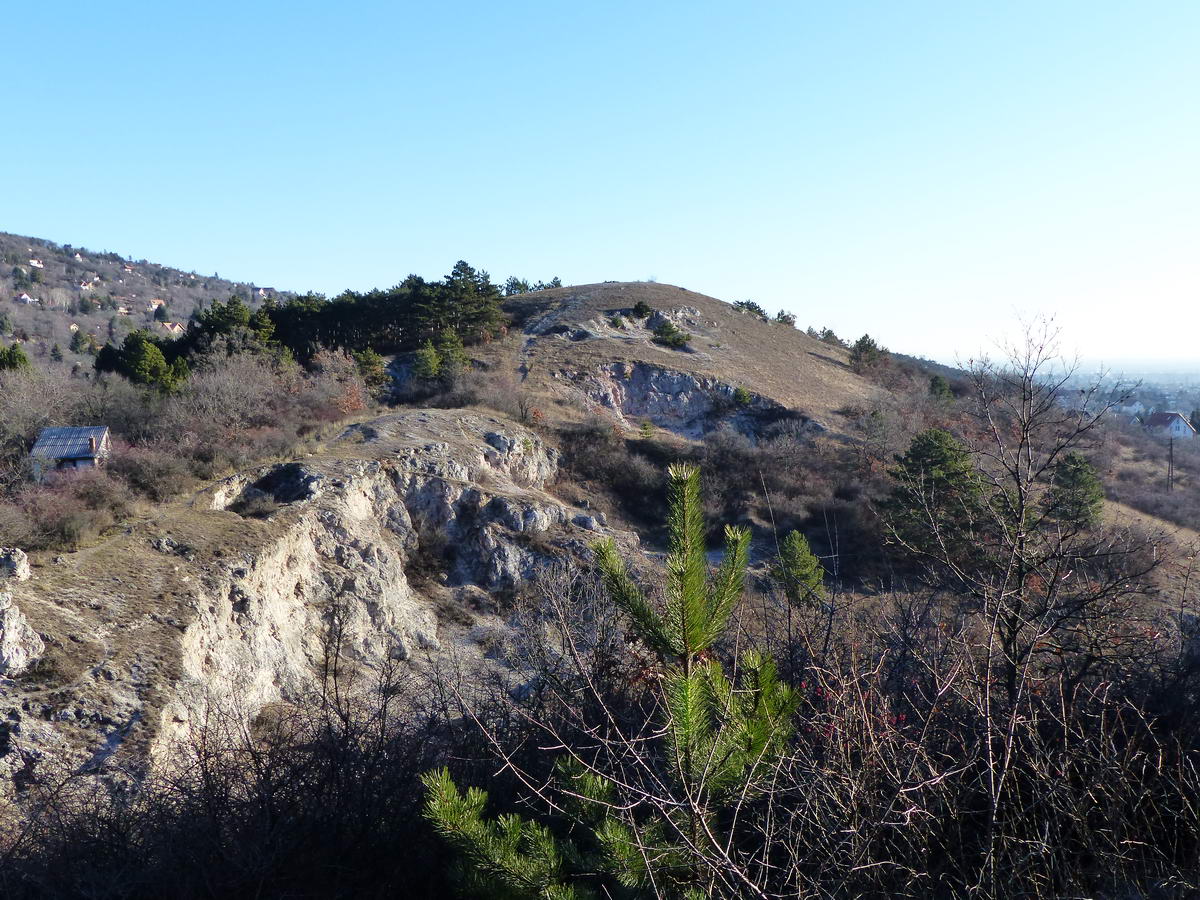Visszatekintés az Odvas-hegy oldalából a kőfejtőkkel felsebzett oldalú Kövecses-hegyre