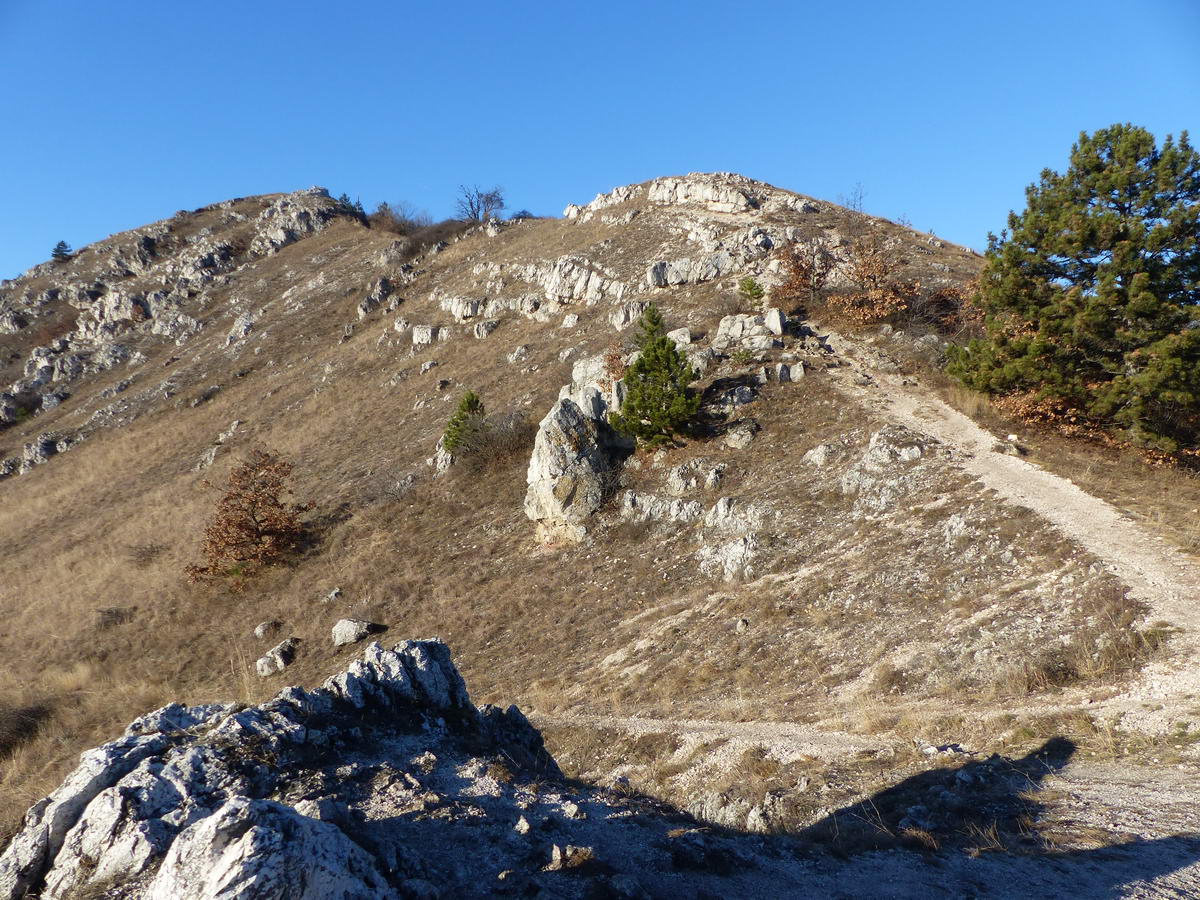 Előretekintés az Odvas-hegy gerincén futó jól kijárt ösvényre. Itt tértem balra induló ösvényre, amely aztán kivitt a sziklás hegyoldalba.