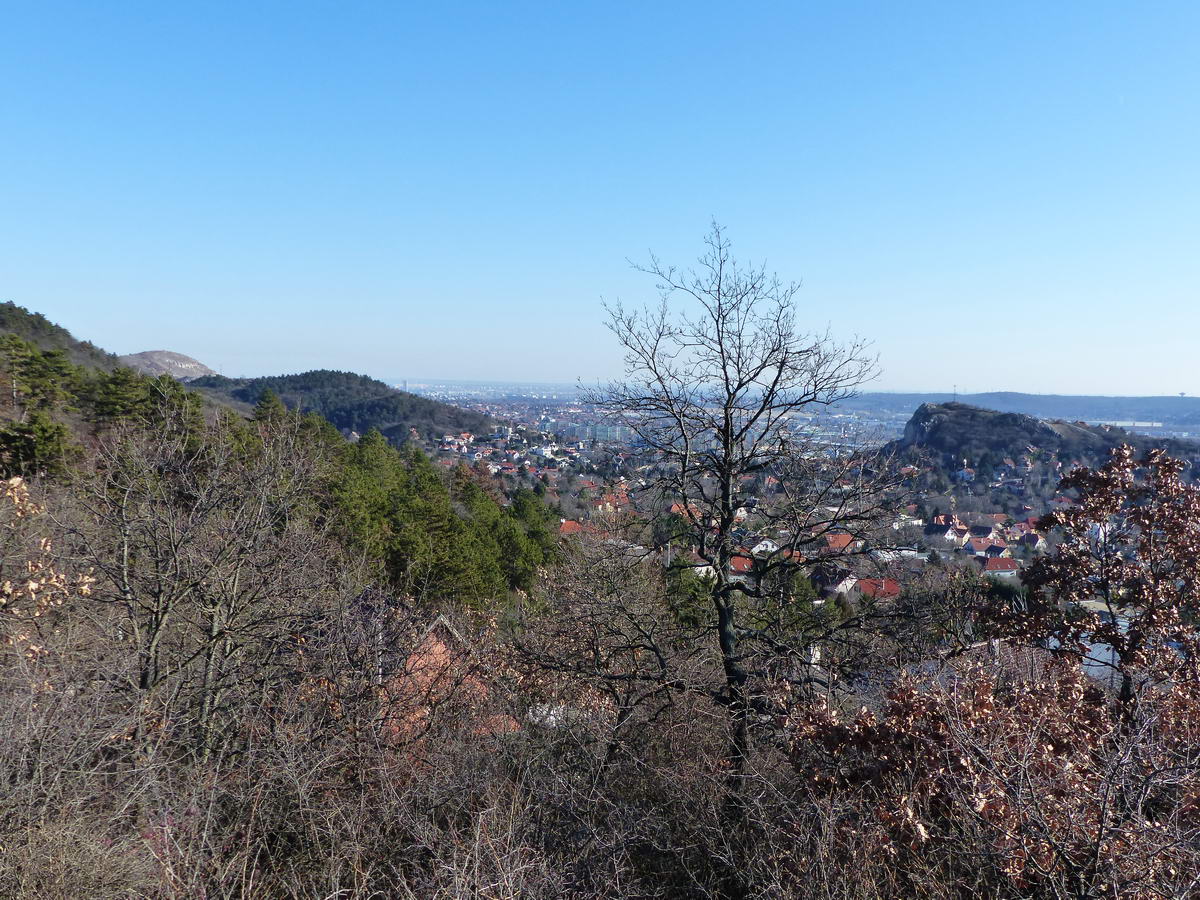 Kilátás Budaörs felé a Huszonnégyökrös oldalából