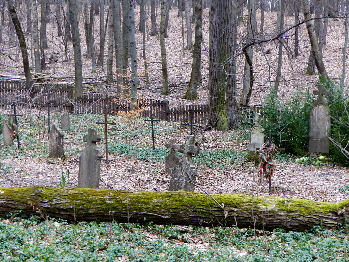 Körtvélyespuszta régi temetője