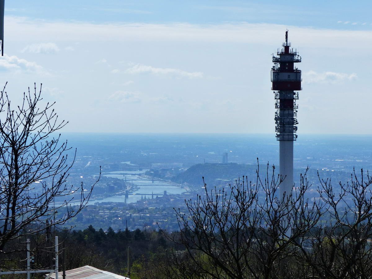 A Belváros és a Duna panorámája a kéktúra pecsételőponttól. Az a fránya autofókusz a faágakat kapta el, nem pedig a távoli várost...