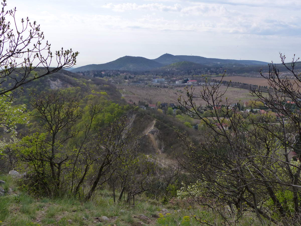 Kilátás a Remete-hegy szikláiról Adyligetre, valamint a háttérben álló Nagy-Hárs-hegyre (balra), János-hegyre (középen) és a Normafa hosszú gerincére (jobbra)