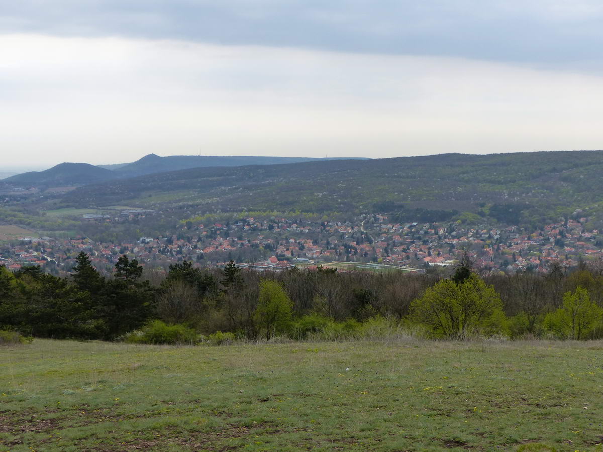 És akkor pár részlet a Nagy-szénásról nyíló körpanorámából! Délkelet felé tekintve alattunk terül el Nagykovácsi, a távolban jól látszik a Nagy-Hárs-hegy és a János-hegy púpja.