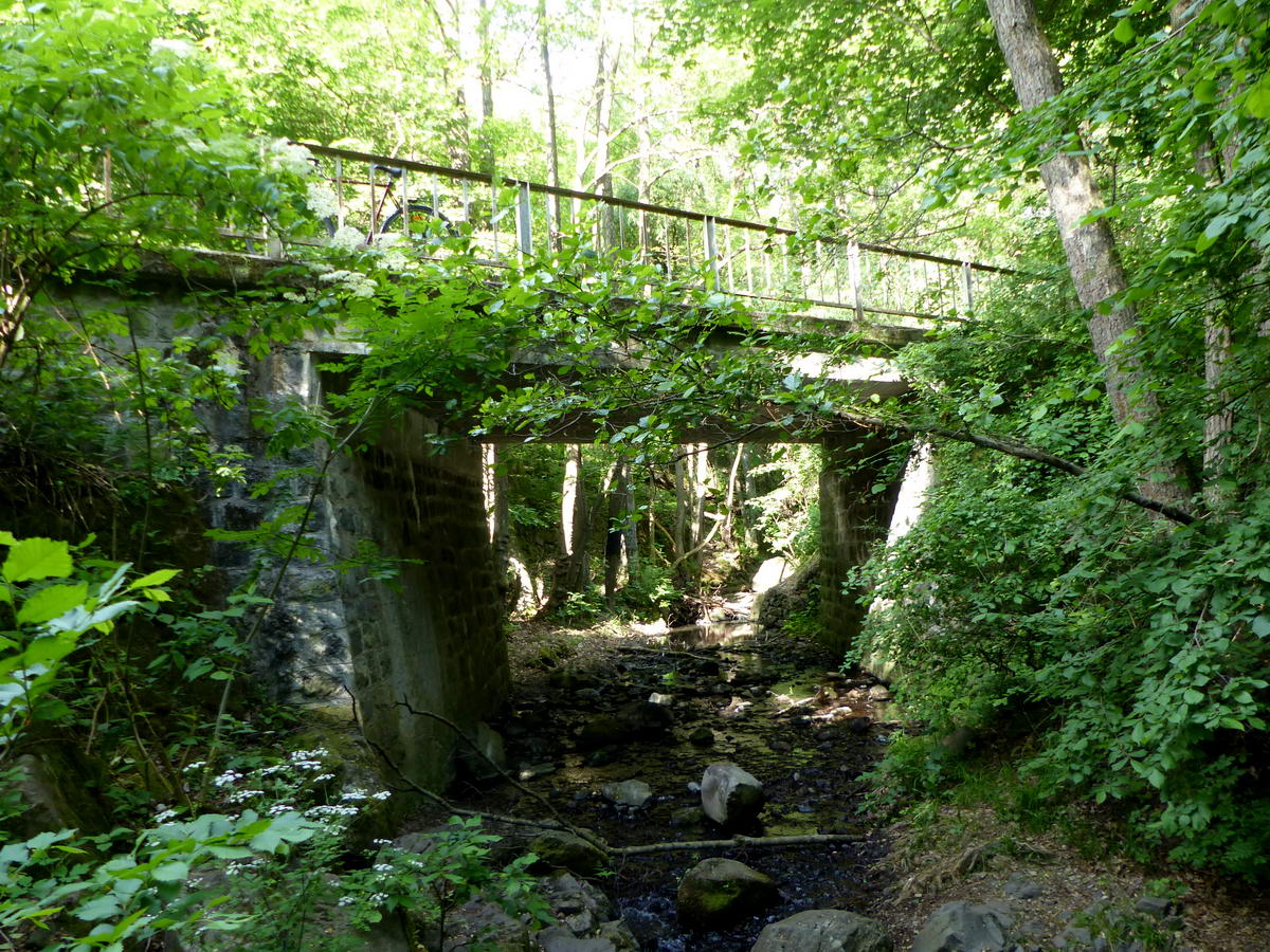 Az erdészeti út hídja a Bükkös-patak felett