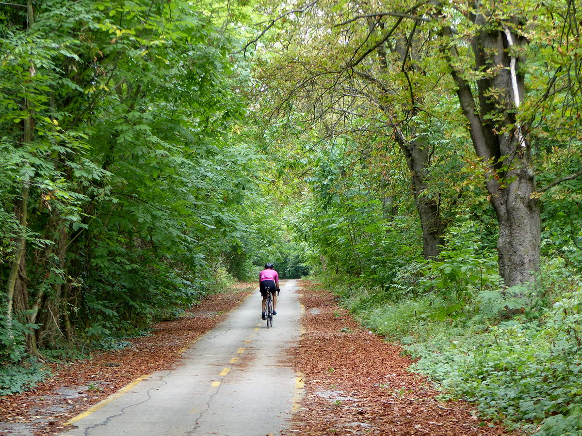 Kenese és Fűzfő között a 71-es út egy régi nyomvonalán, erdőben vezet a bringakör 