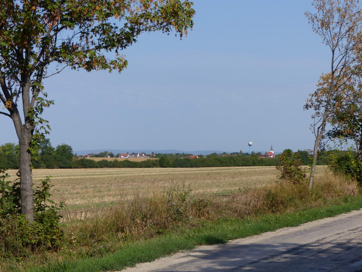 Csak eltekertem Jenő mellett