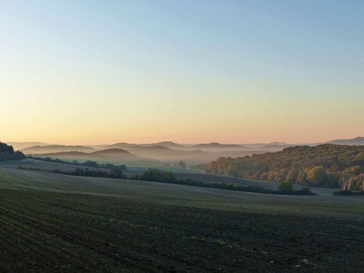 Kilátás a Gerecse dombjaira a Gyertyános nyerge után