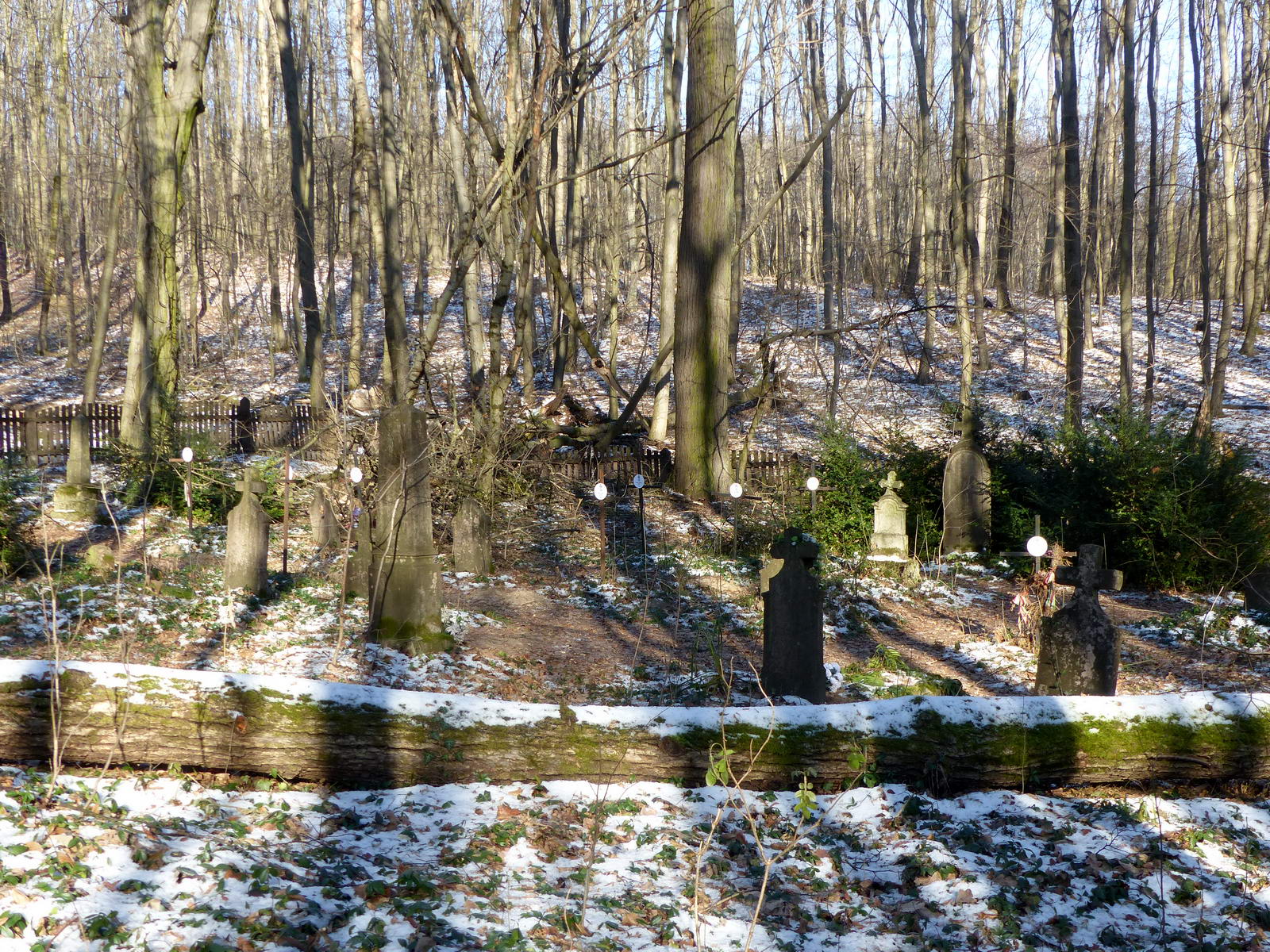 Körtvélyes öreg temetője