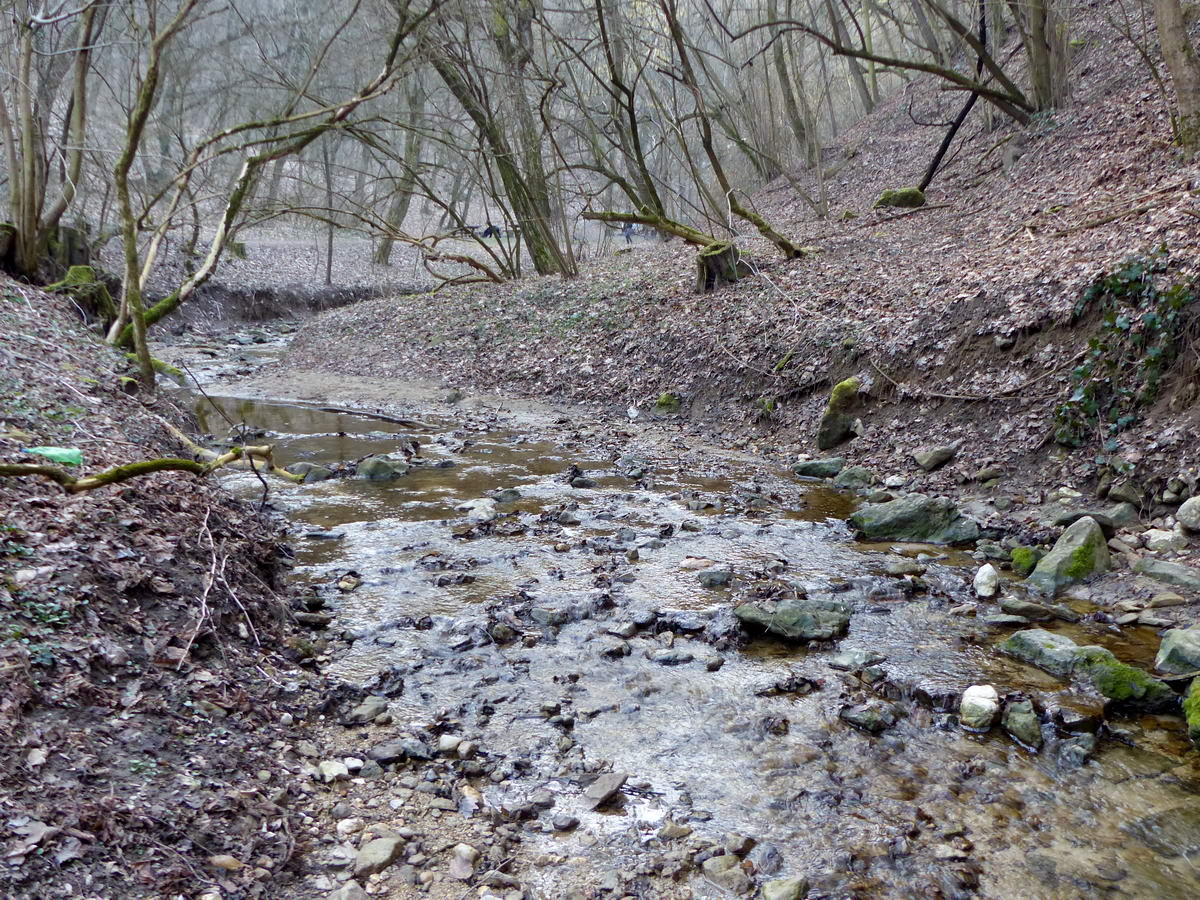 Most a csapadékos ősz és tél miatt eléggé bővizű volt a Paprikás-patak