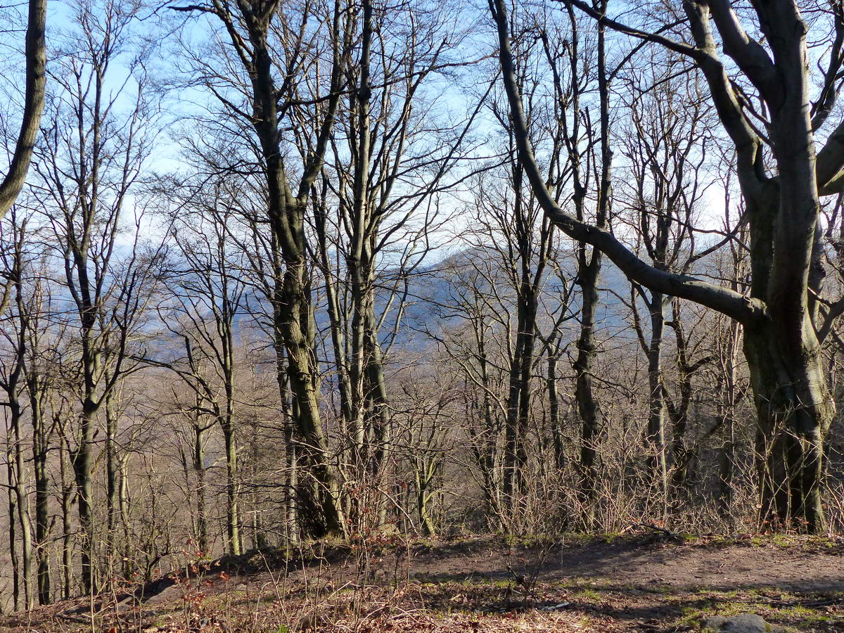A még lomb nélküli fák között szinte végig látótérben maradtak a környező hegyek - itt például a Prédikálószék