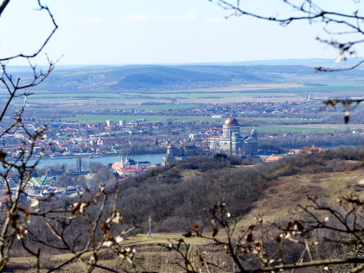 A hegytetőn megpillantottam a faágak között a Bazilikát