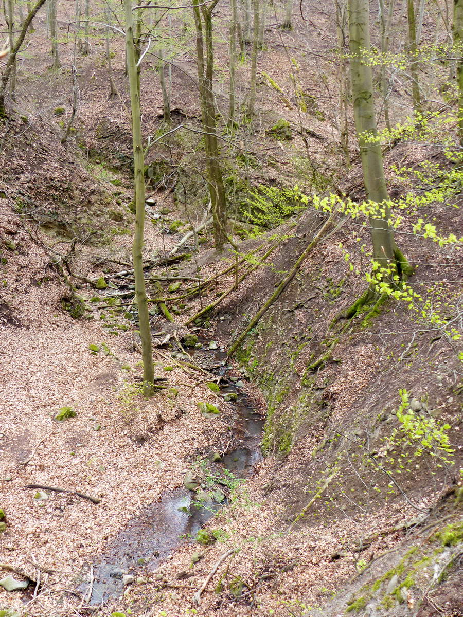 Visszatekintés a völgyre, miután kikapaszkodtam belőle