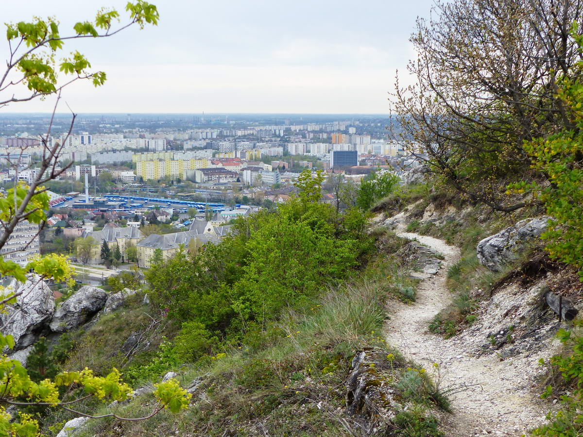 A hegyoldalban kanyarog a keskeny, murvás ösvény. A háttérben a Hamzsabégi úti buszgarázsban várakoznak a BKV buszok tucatjai.