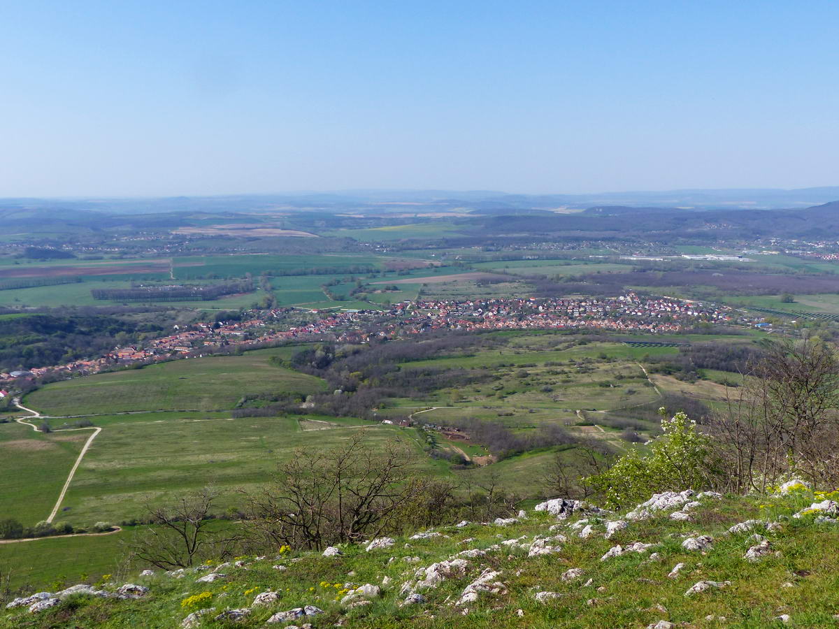 Kesztölc olyan nagyra nőtt, hogy már alig fér rá egy képre!