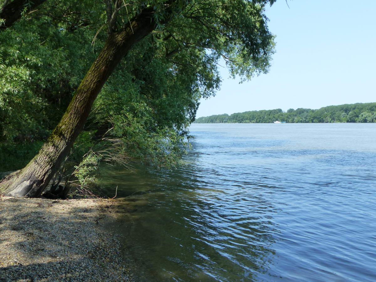 A Duna Neszmélynél