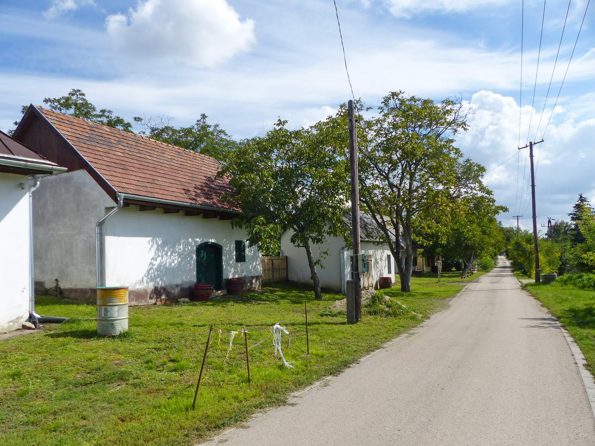 Borospincék és hétvégi házak között