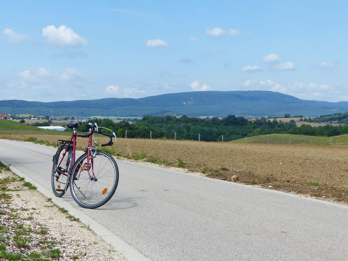 Visszatekintés a Tarjáni-medencére a kerékpárútról