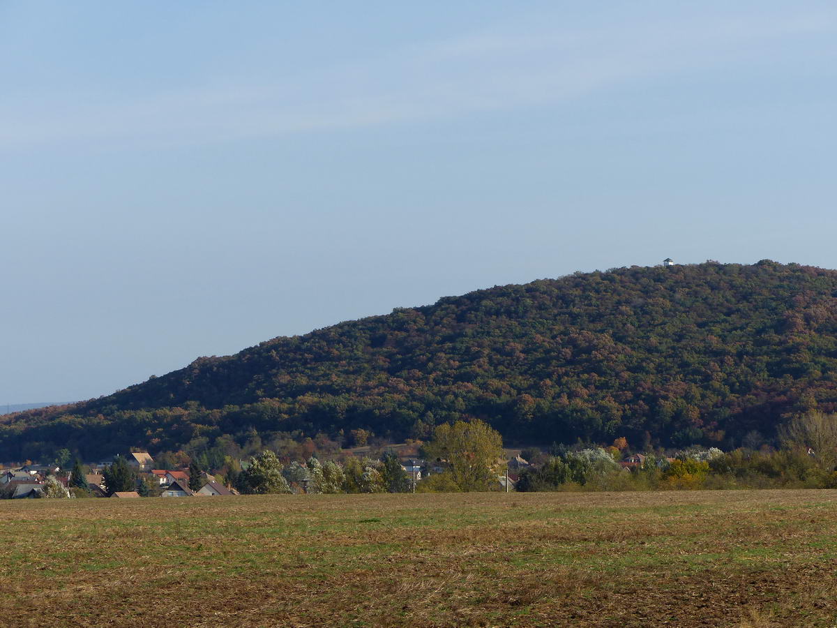 Vértessomló mögött a Nagy-Somló erdős oldala áll tetején a kilátóval