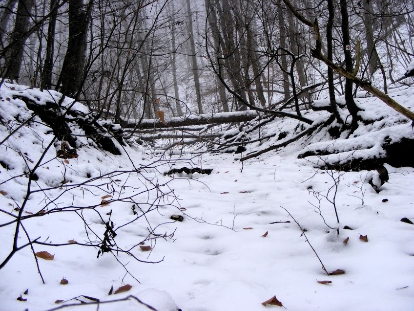 A Burok-völgy télen 1. (Fráter Attila felvétele)