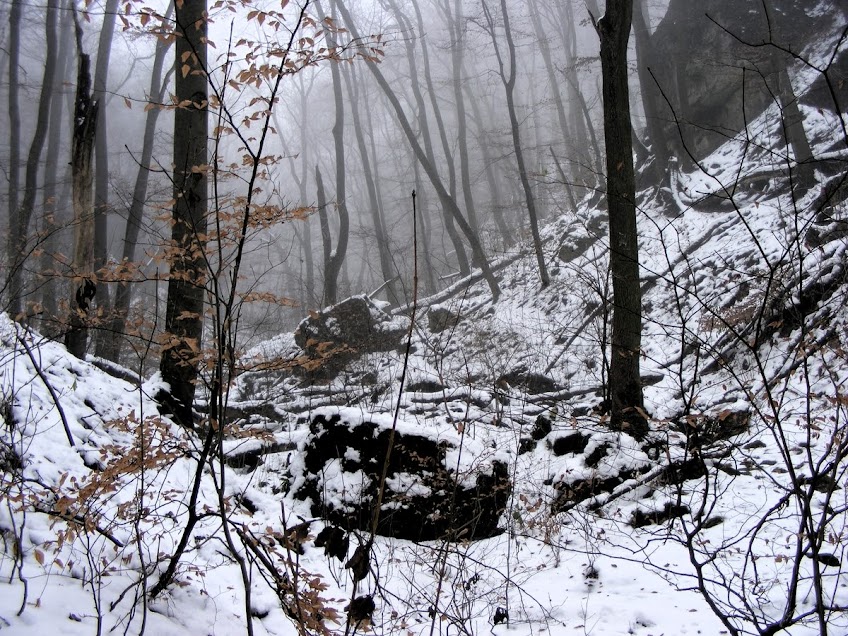 A Burok-völgy télen 2. (Fráter Attila felvétele)
