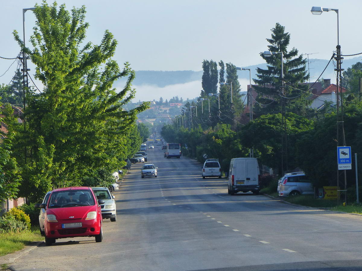 Visszapillantás Esztergom határából a városra. Kezd felemelkedni a várost elborító köd.