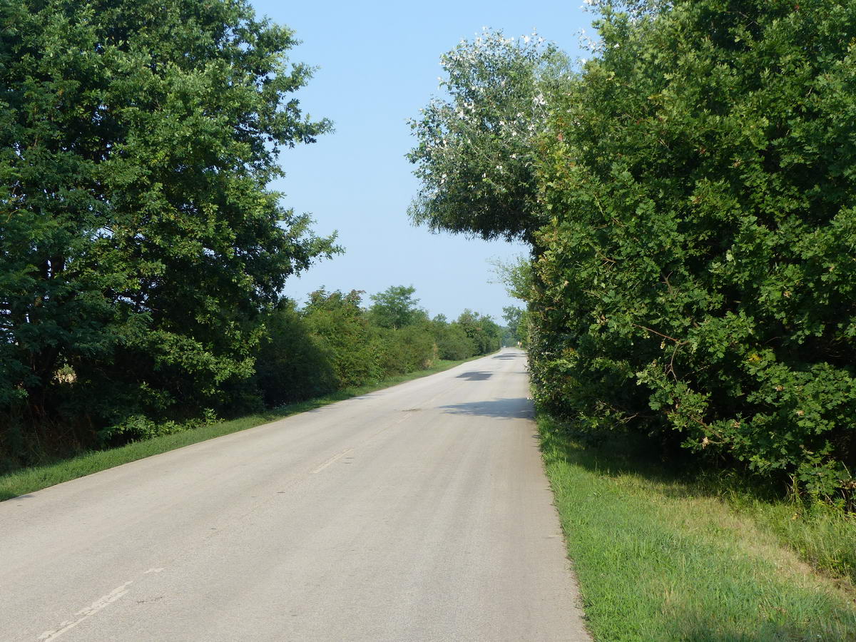 Tökéletes aszfaltozású mellékúton Mezőtúr felé