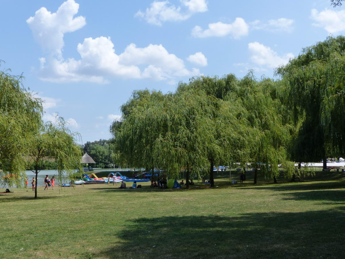 Közkedvelt strand található a Fehér- és Fekete-Körös összefolyásánál, vagyis a Szanazugban