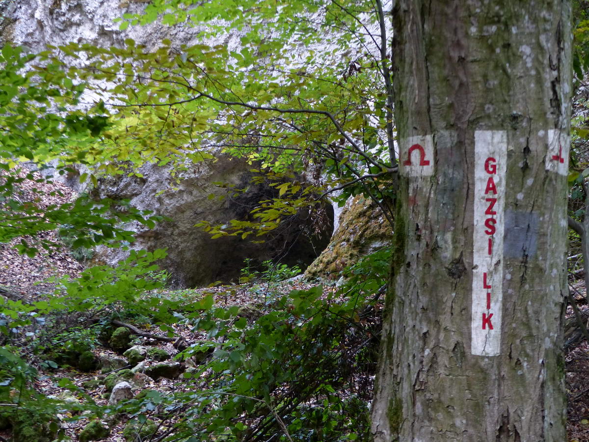 Itt a piros barlang jelzést festő még a barlang nevét is a fára pingálta!