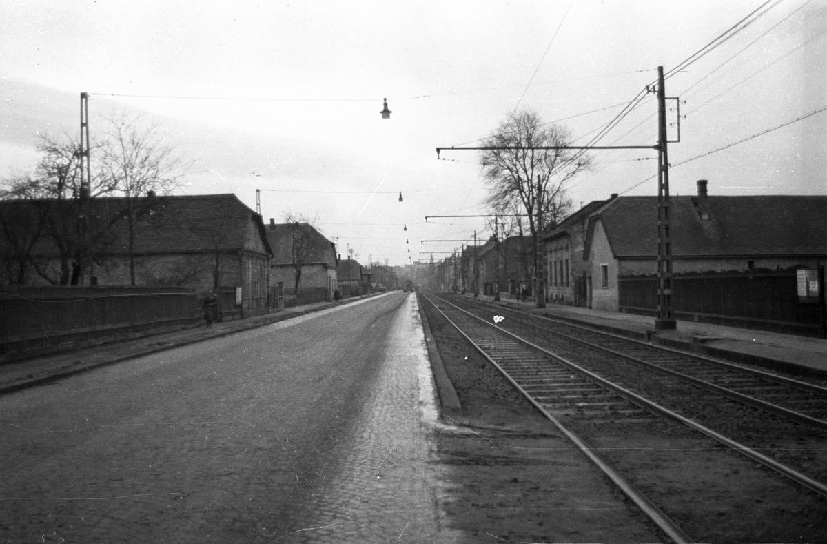 Albertfalva főutcája a lakótelepek építése előttről...