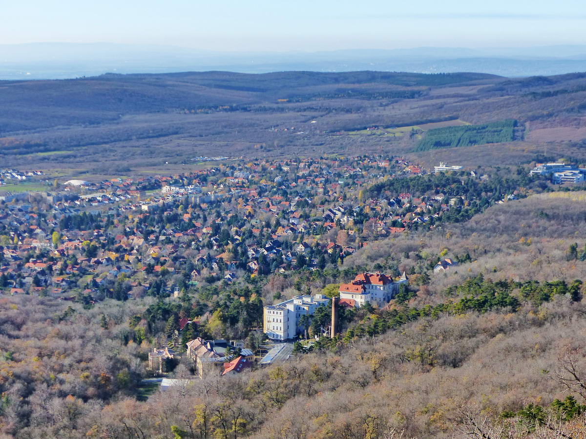 Kilátás a Korányi tüdőszanatórium és Budakeszi felé