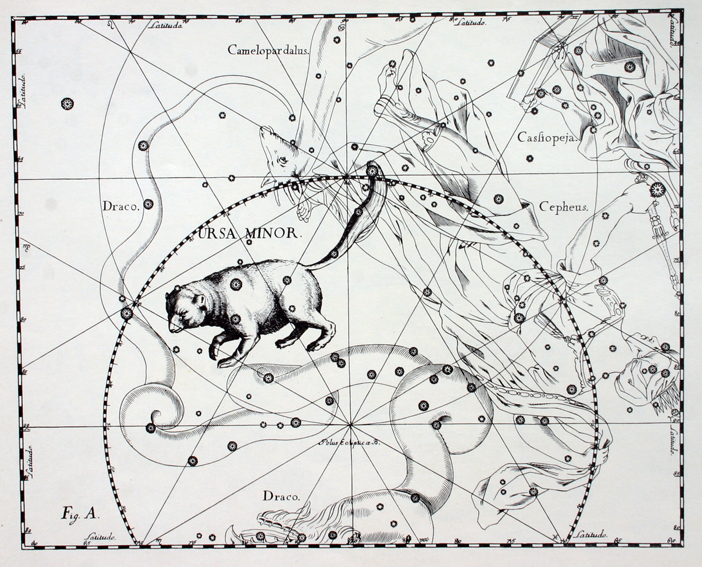 ursa_minor_hevelius.jpg