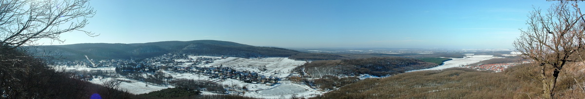 zsigmon-ko_1_1.jpg