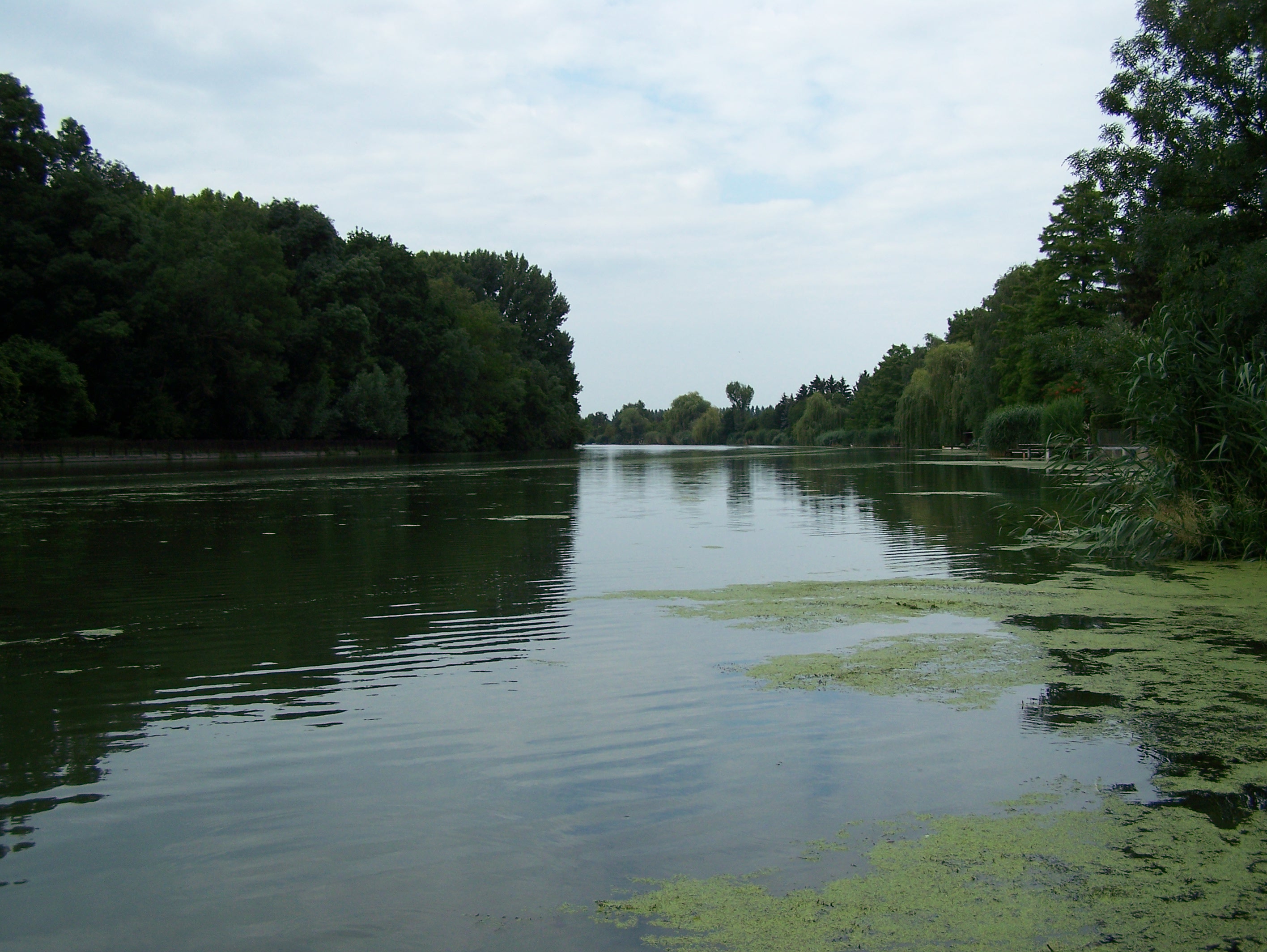 100_9301.JPG