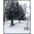 #Zirc #Rákóczitér #havazás 
#winter #snow #Bakony #bakonyikalandok