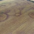 A napraforgó alatt - Szapáry puszta rejtélyes körárkai