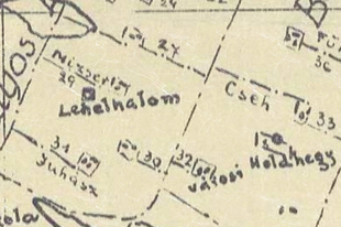 Lehel-halom