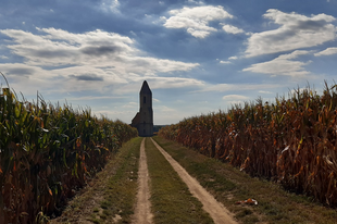Somogyvámosi pusztatemplom - 800 éves templomrom kukoricák között