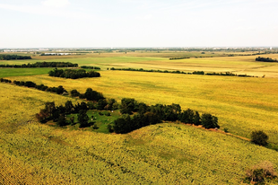 Az "arc", a temető és az erőd** Herkálypuszta