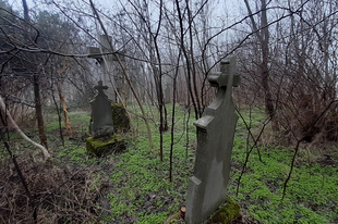 Tetepuszta - régi temető egy tanyasi iskola betemetett romjai mellett