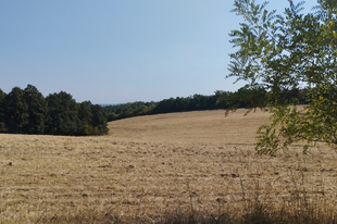 A Kisasszonyvölgy elveszett temploma