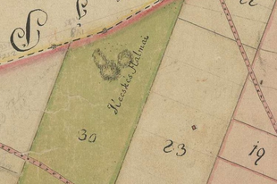 Eltűnt halmok a tetétleni pusztán: Kecskés Halmai