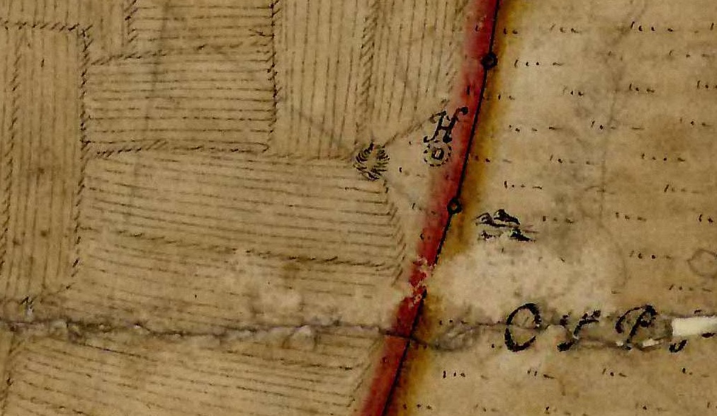 1750_2.jpg