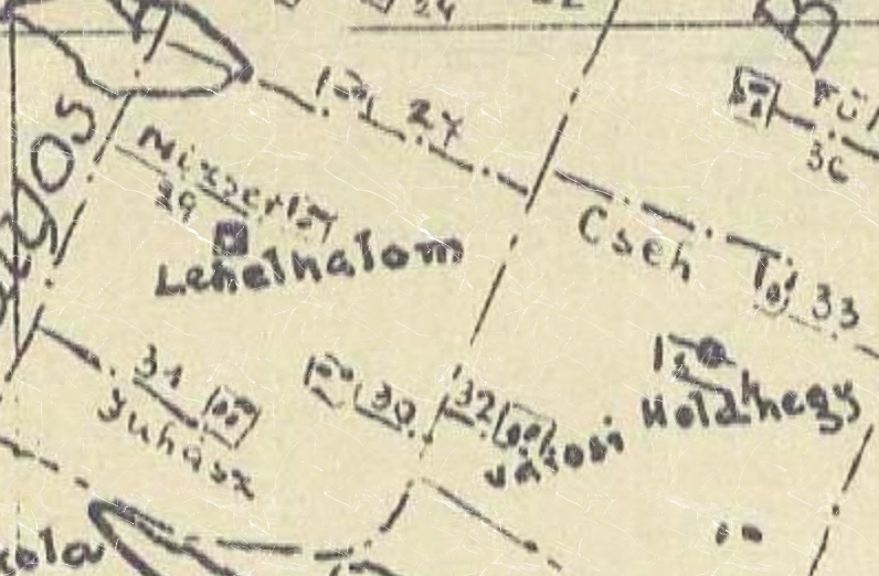 1937_7.jpg