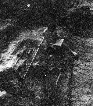 1958_temetoeltaras_a_gurmannhalmon_1.jpg