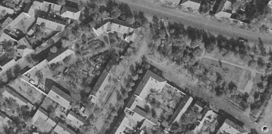 1959_2.jpg