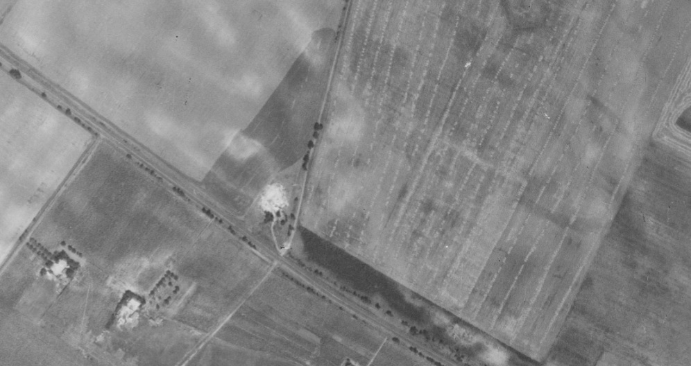 1963_g.jpg