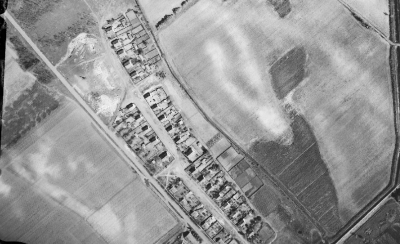 1965_ncs.jpg